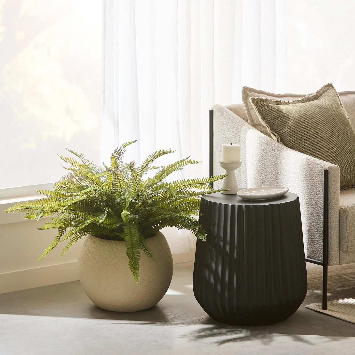 Fern in Textured Ceramic Pot