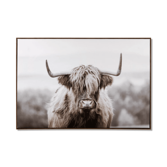 Furry Highland Cow Framed Art