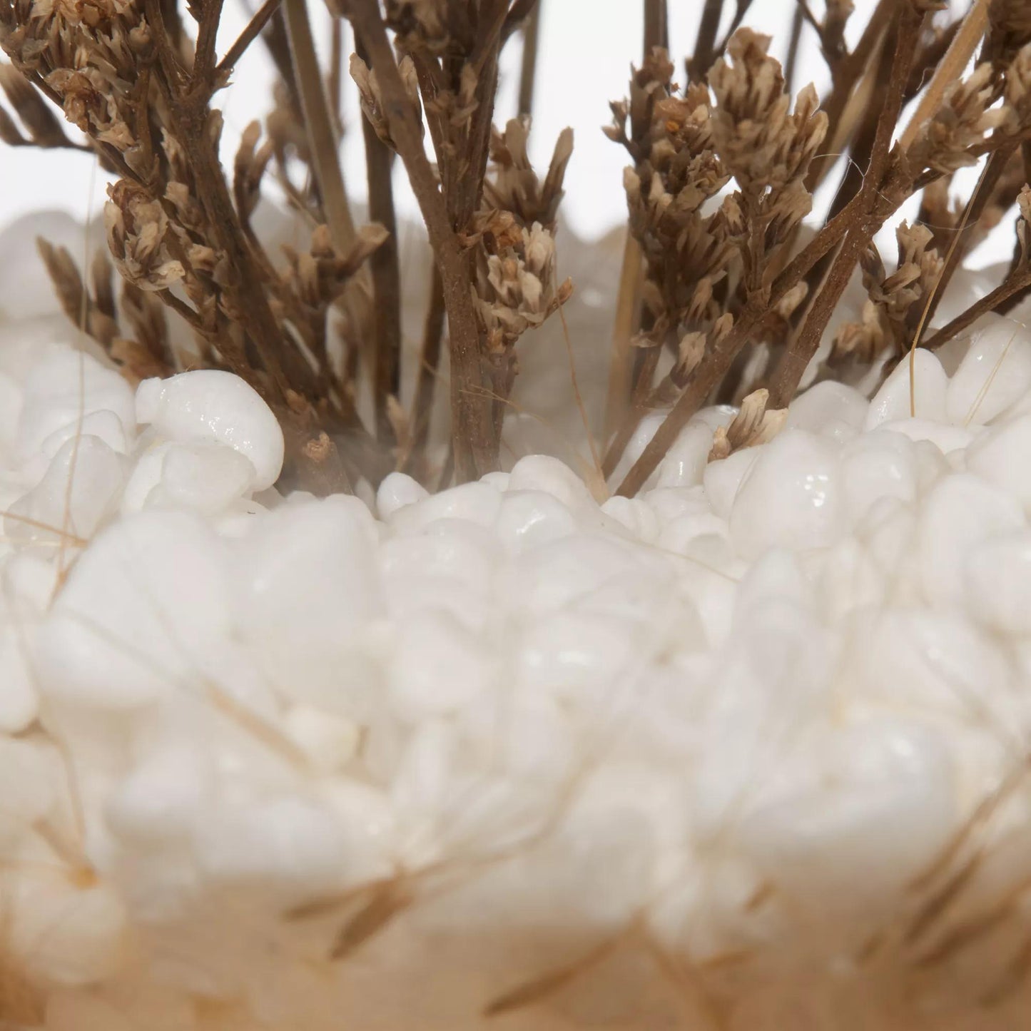 Dried Flowers Glass Dome