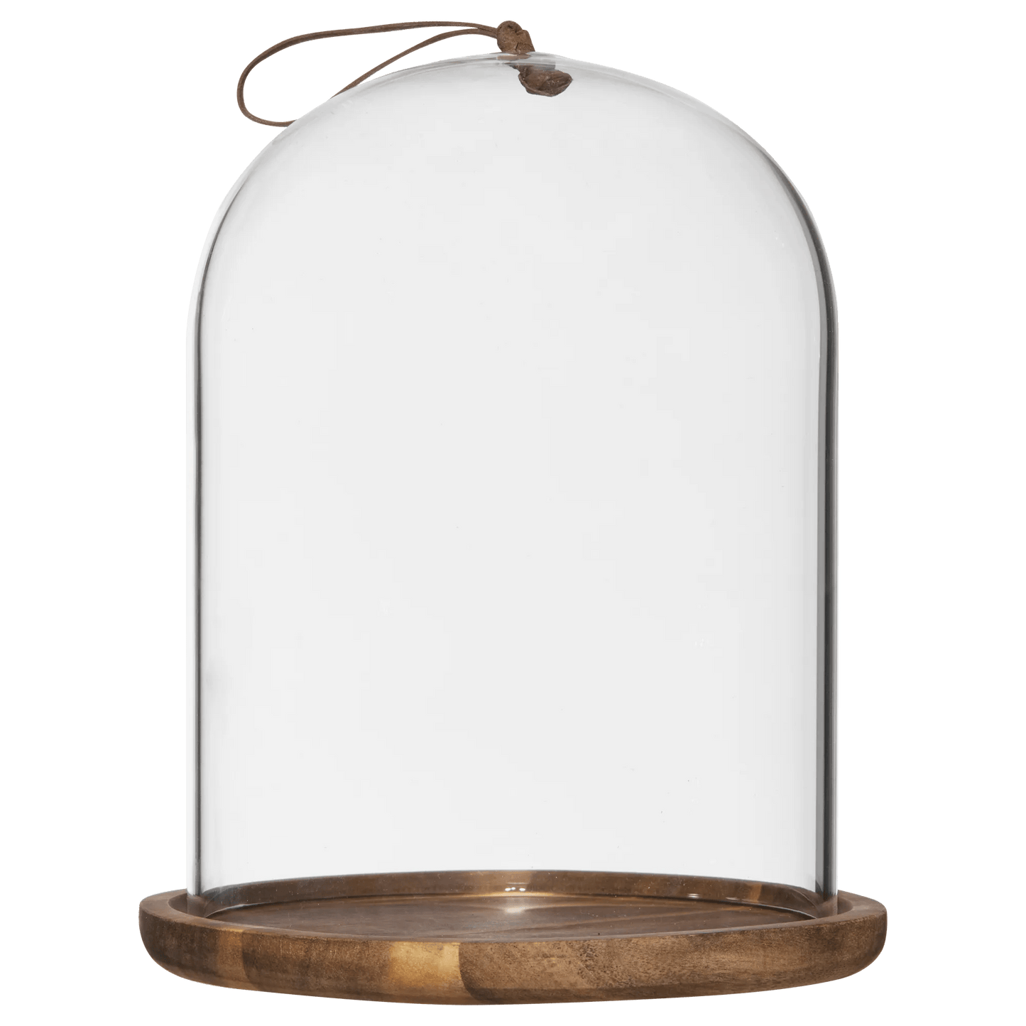 Glass Dome with Wood Base