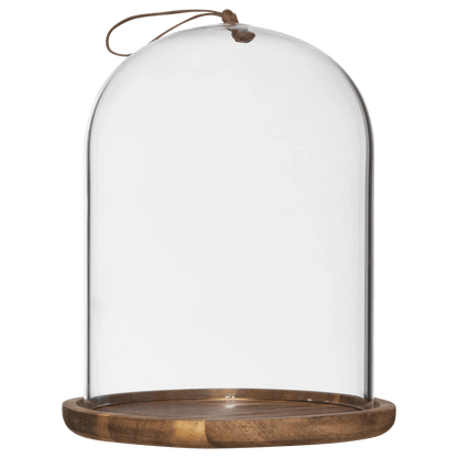 Glass Dome with Wood Base