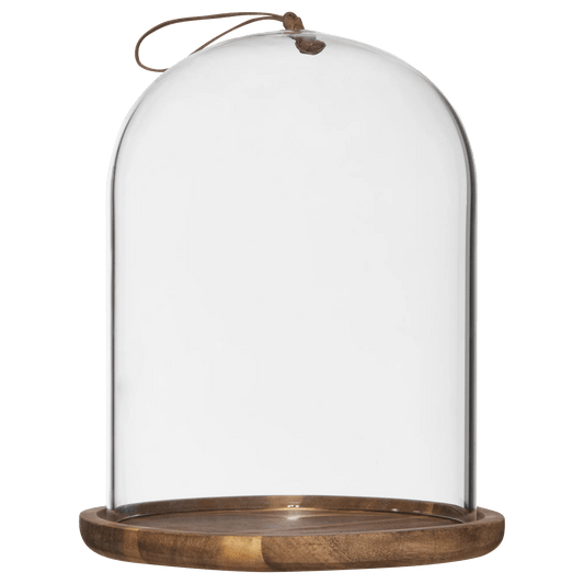 Glass Dome with Wood Base