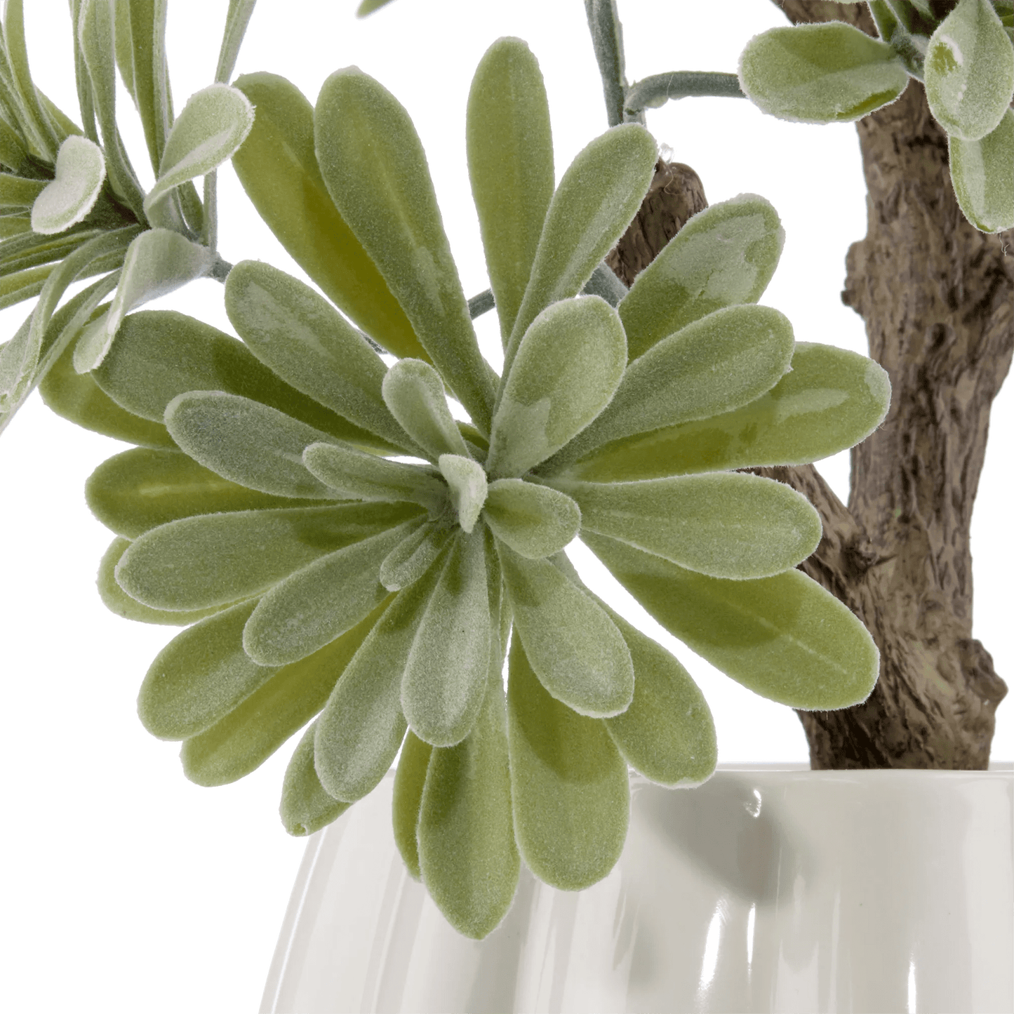 Lotus in Ceramic Pot