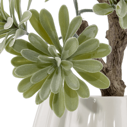 Lotus in Ceramic Pot