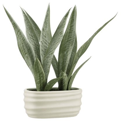 Artificial Plant in Ceramic Pot