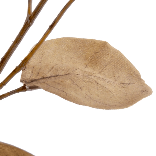 Artificial Eucalyptus Stem