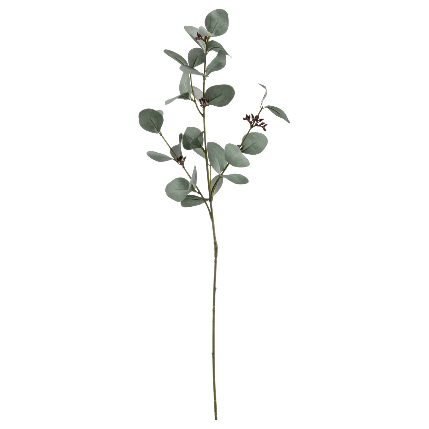 Artificial Eucalyptus Stem