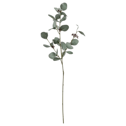 Artificial Eucalyptus Stem