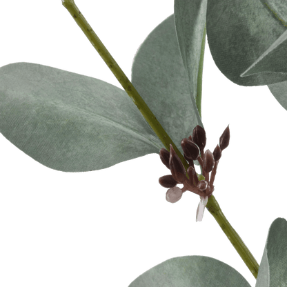 Artificial Eucalyptus Stem