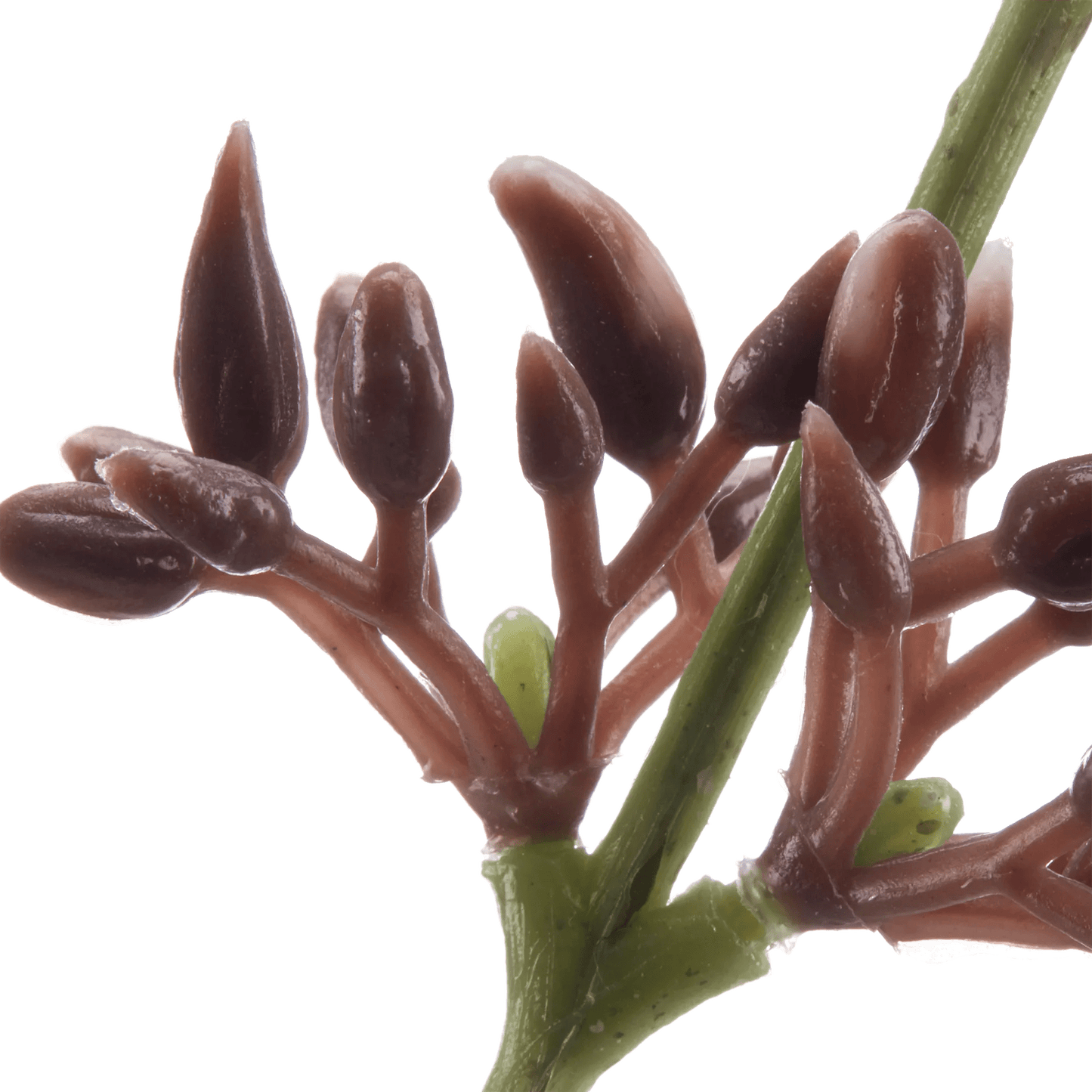 Artificial Eucalyptus Stem