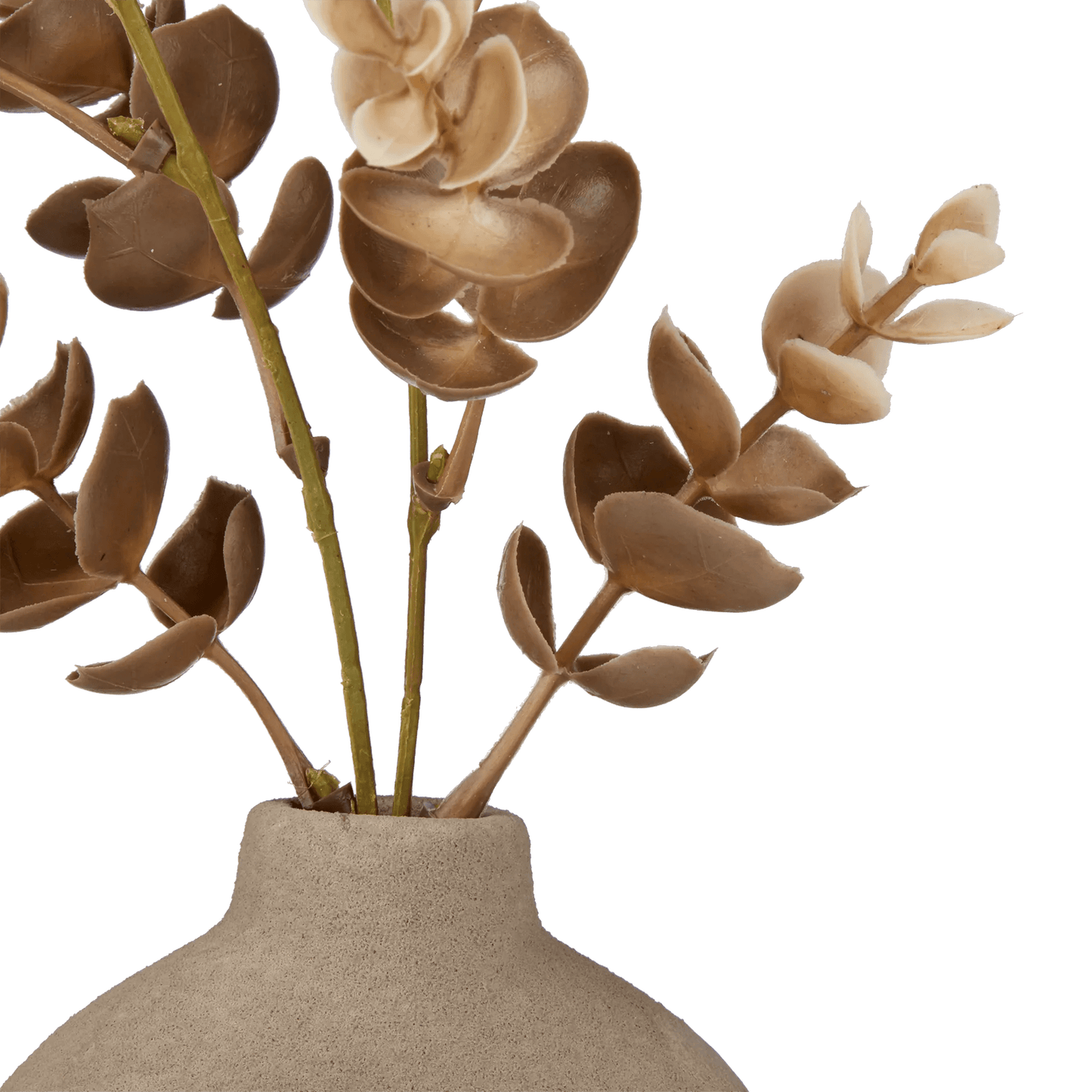 Eucalyptus in Loop Vase