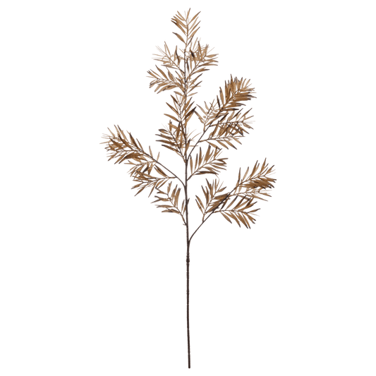 Brown Wild Leaves Stem