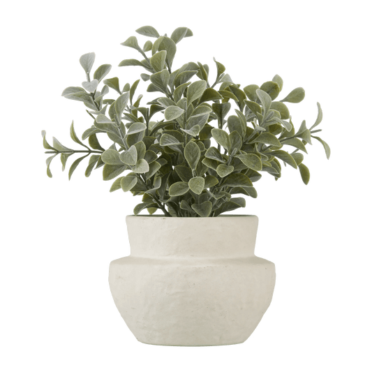Eucalyptus Leaf Potted Plant