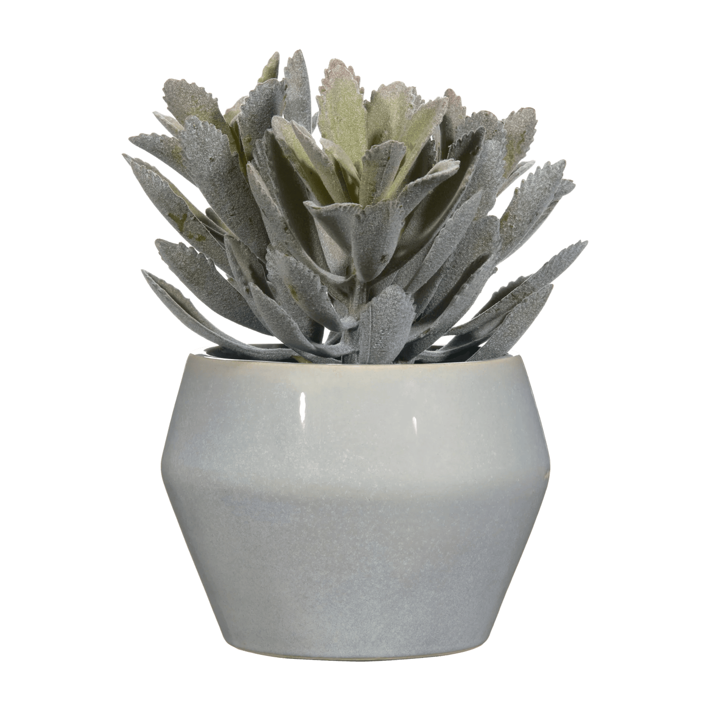 Artificial Panda Plant in Ceramic Pot