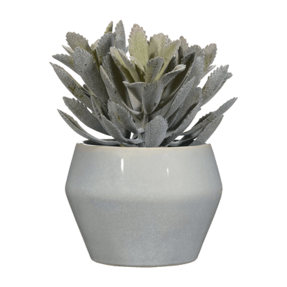 Artificial Panda Plant in Ceramic Pot