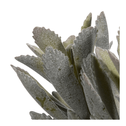 Artificial Panda Plant in Ceramic Pot