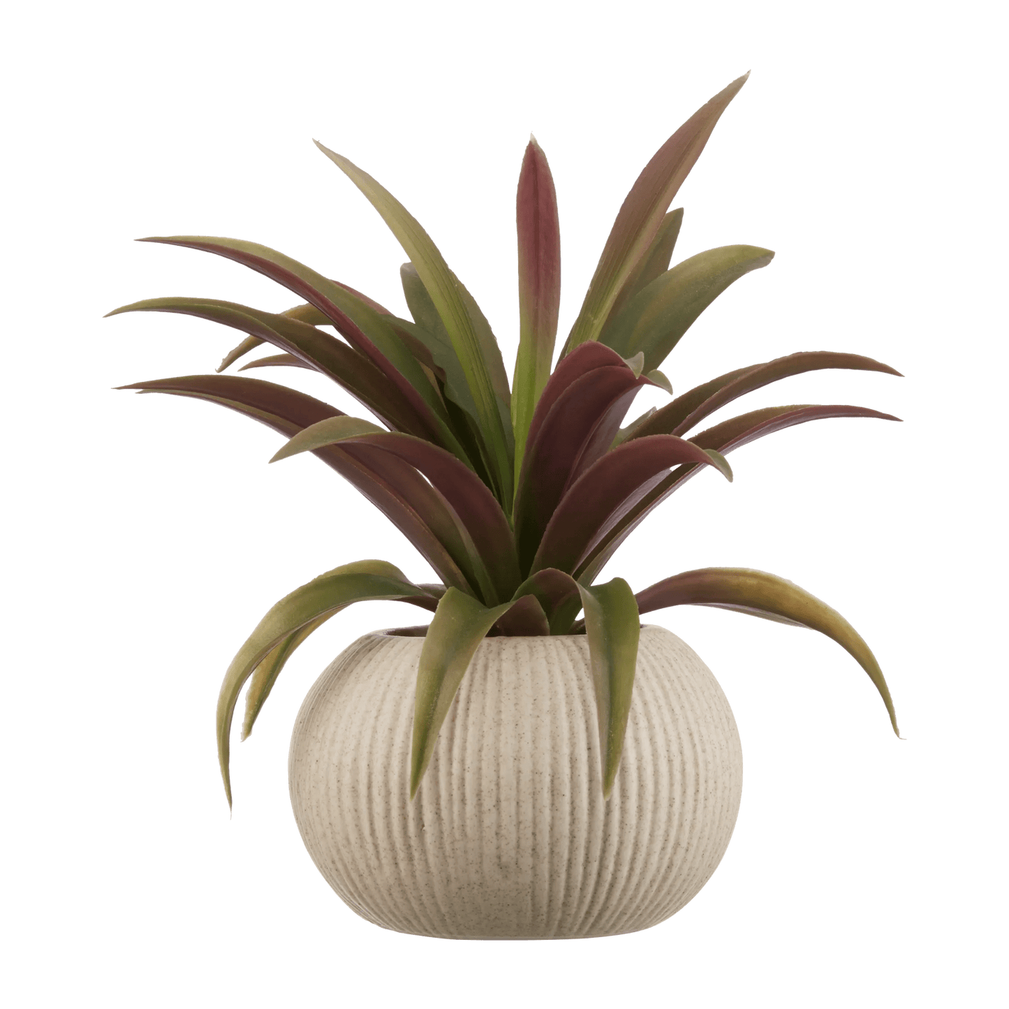 Artificial Agave Plant in Ribbed Pot