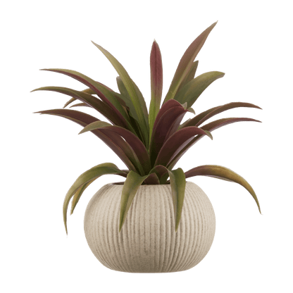 Artificial Agave Plant in Ribbed Pot