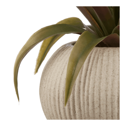 Artificial Agave Plant in Ribbed Pot
