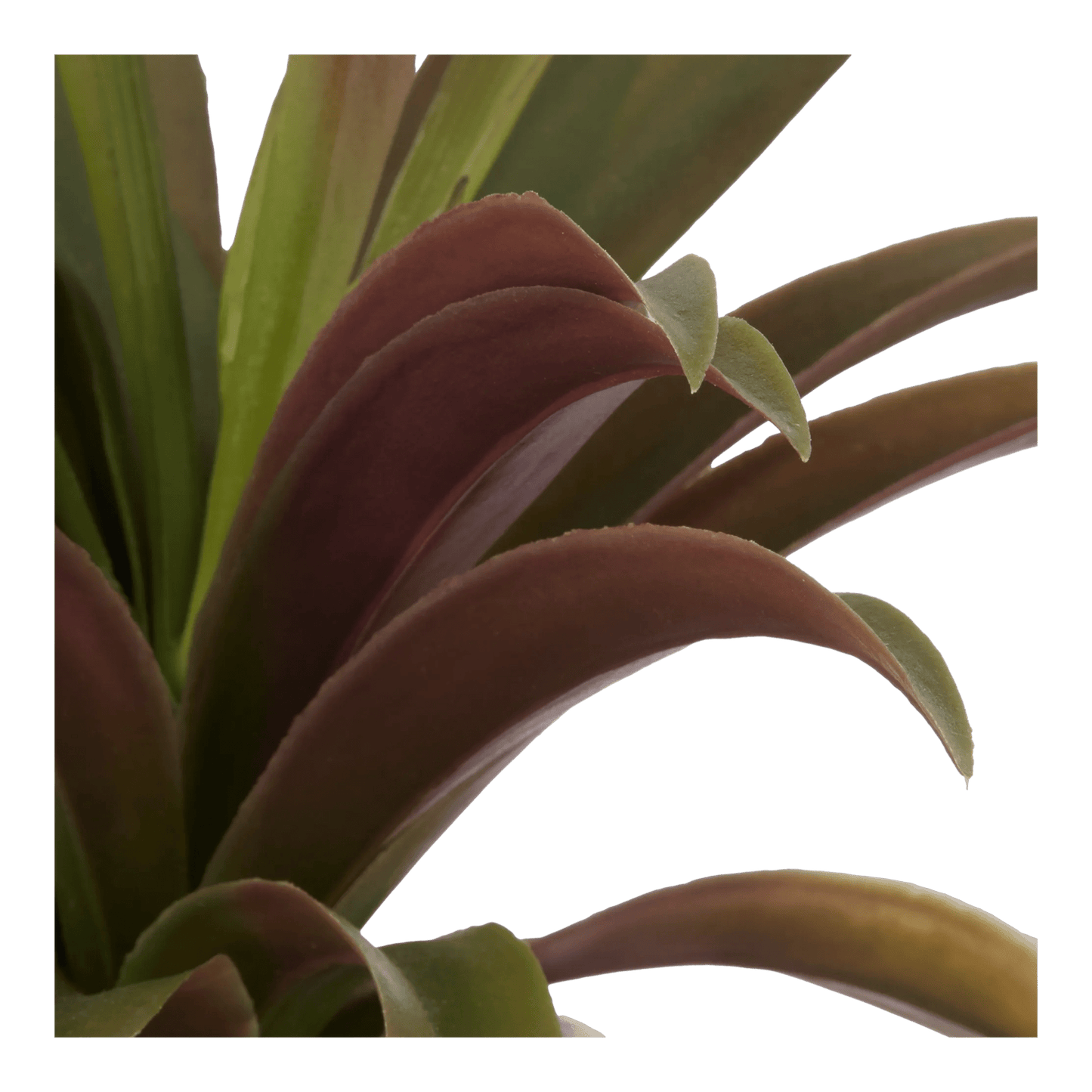 Artificial Agave Plant in Ribbed Pot