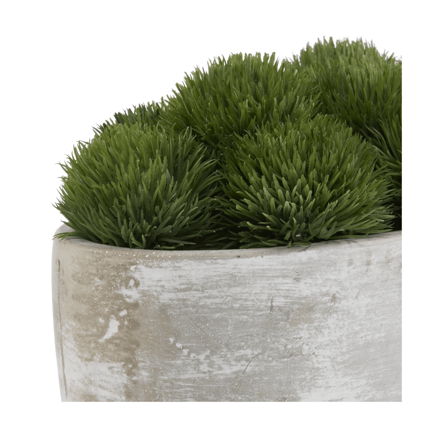 Artificial Moss in Cement Pot
