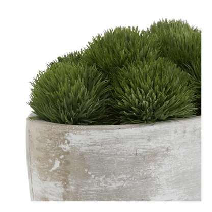 Artificial Moss in Cement Pot
