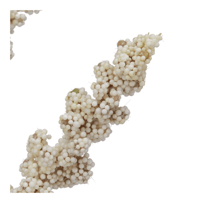 Amaranth Stems in Glass Vase