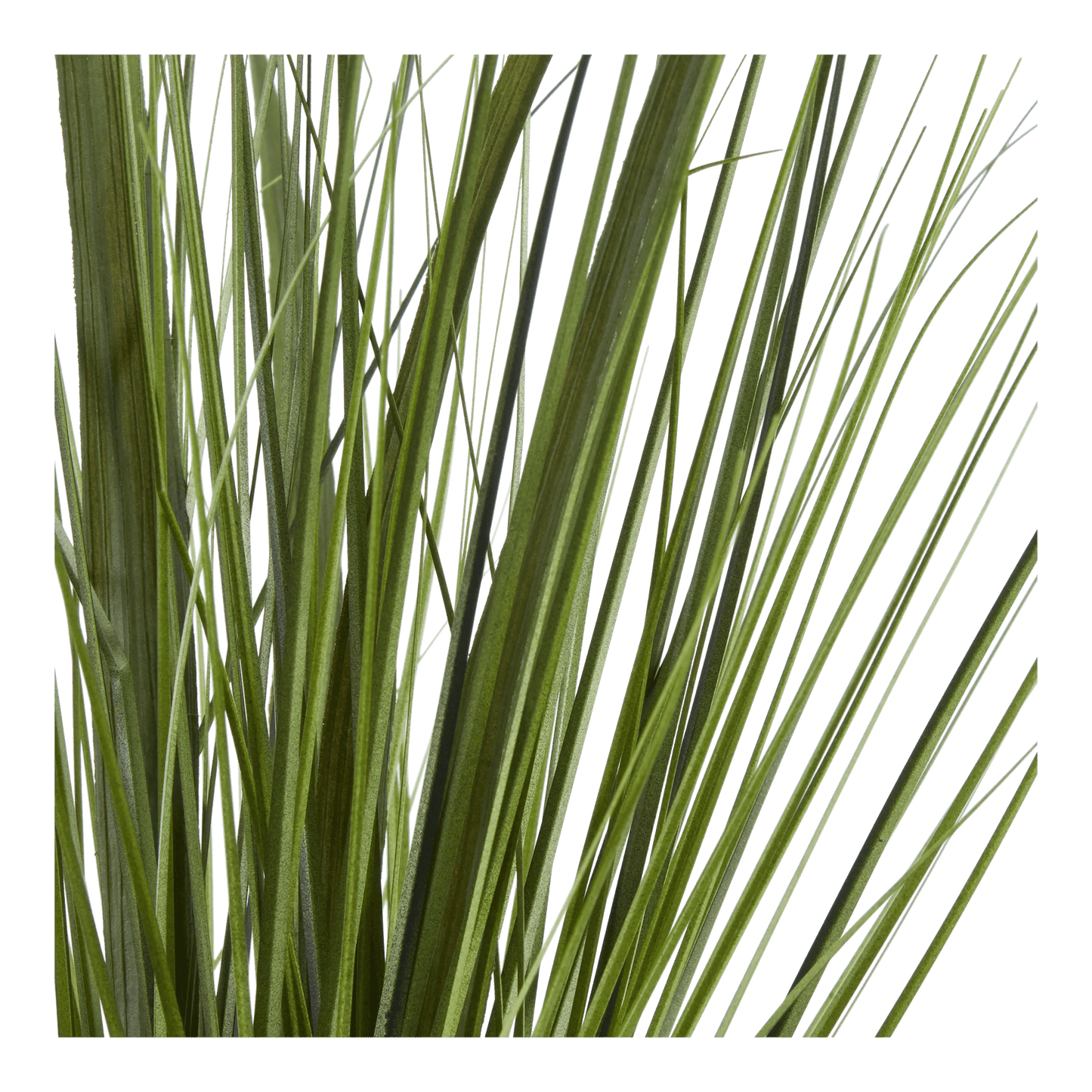 Artificial Grass in Ribbed Ceramic Vase