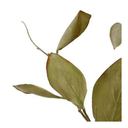 Artificial Magnolia Leaf Stem