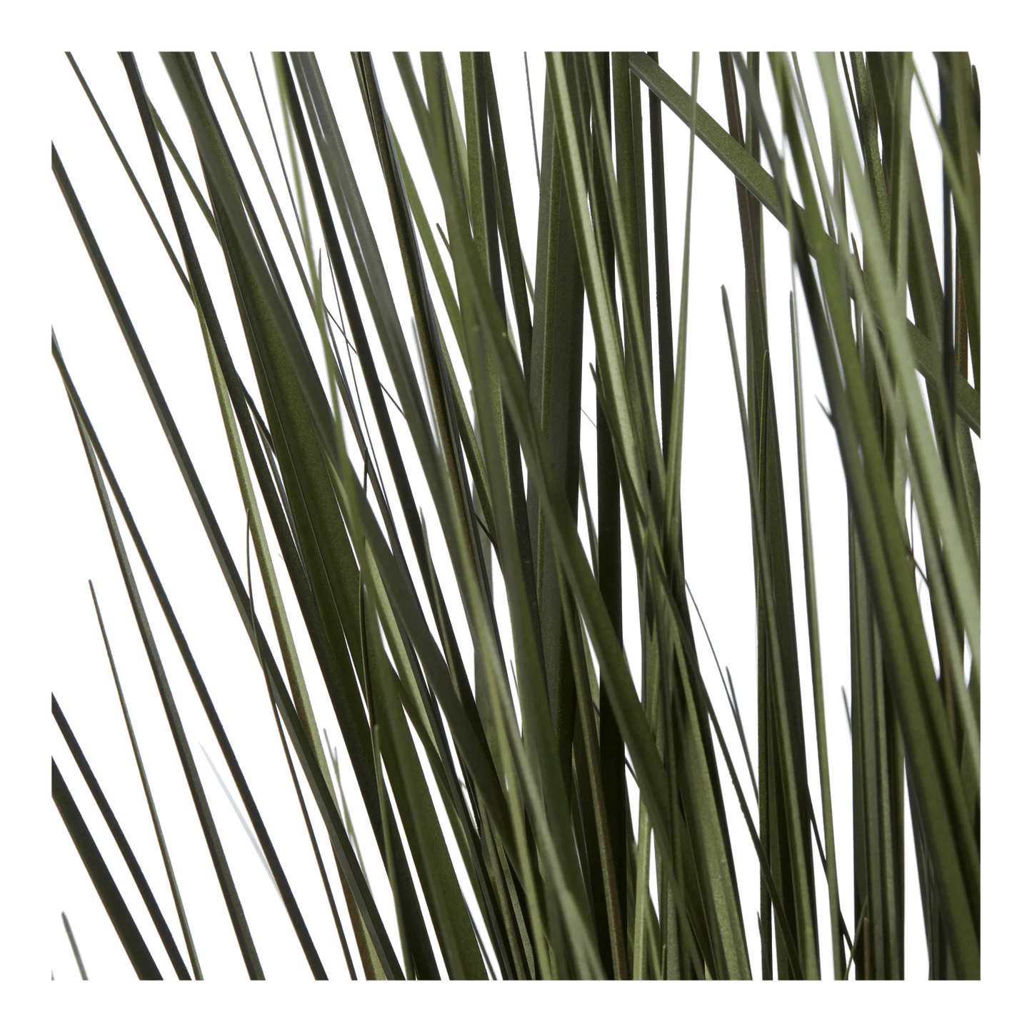 Artificial Grass in Black Ceramic Pot
