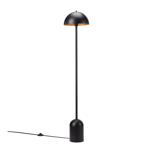 Modern Black Floor Lamp