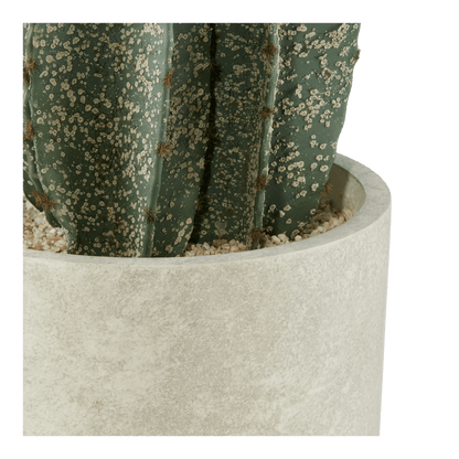 Large Artificial Cactus in Cement Pot