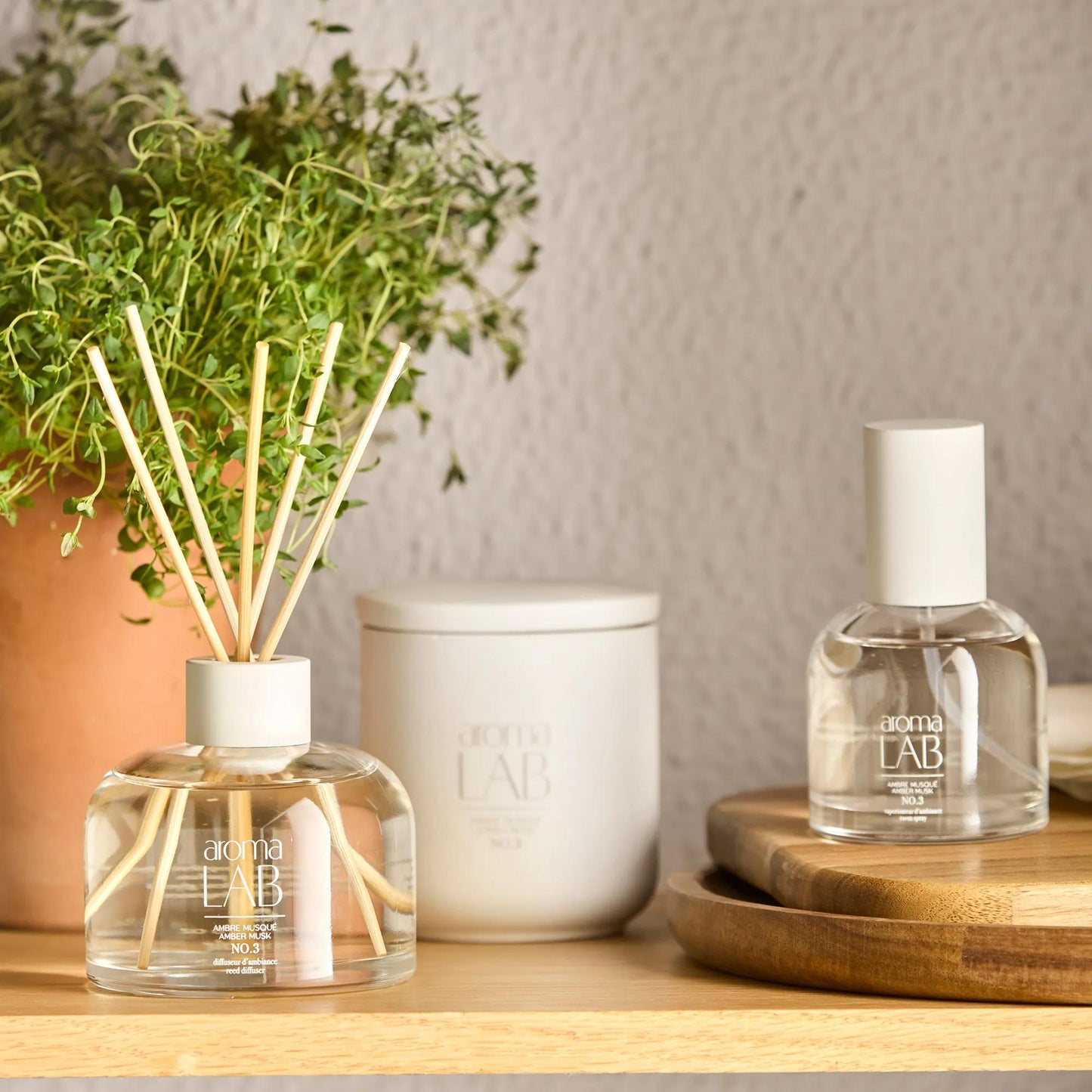 Amber Musk Candle - Aroma Lab