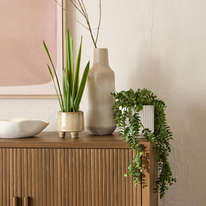 Long Eucalyptus in Ceramic Ribbed Pot