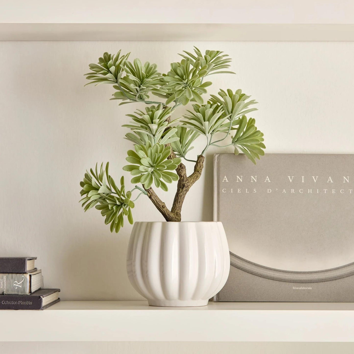 Lotus in Ceramic Pot