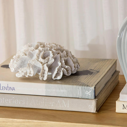 Decorative Coral